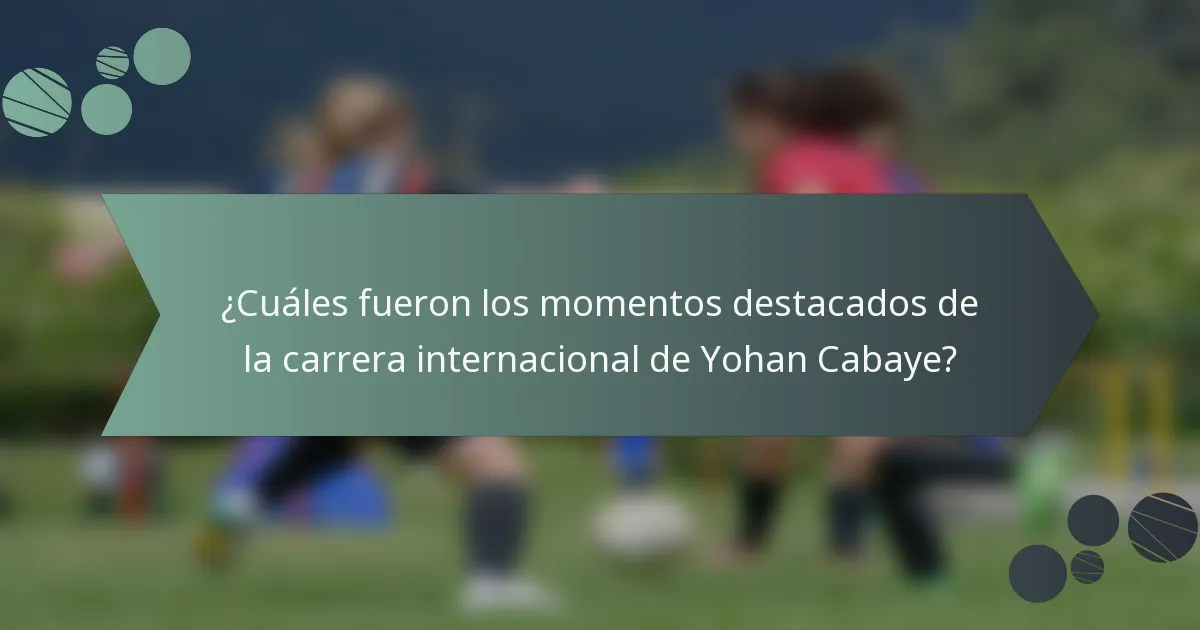 ¿Cuáles fueron los momentos destacados de la carrera internacional de Yohan Cabaye?